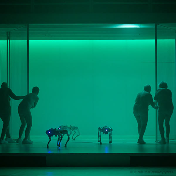 Florentina Holzinger - „A Year without Summer“